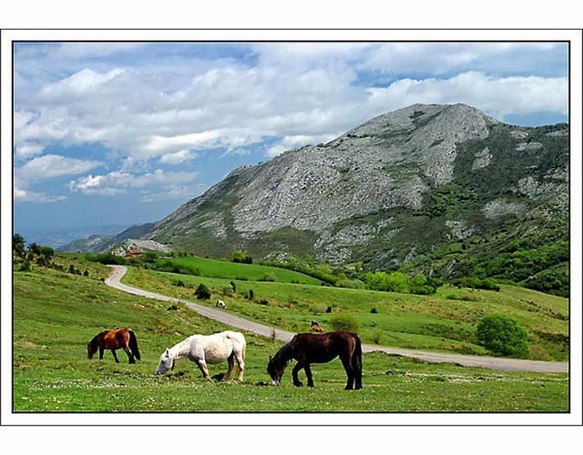 Casa Rural La Carrozal Senda Del Oso Orelleiru Eksteriør bilde